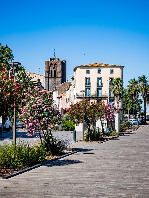 Intervention en diagnostic immobilier autour d'Agde